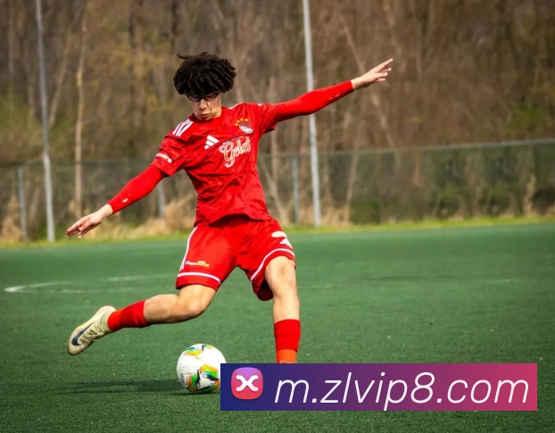 尊龙凯时APP 封面图
